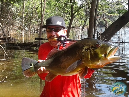 Fotos da pesca esportiva na regio Amaznica