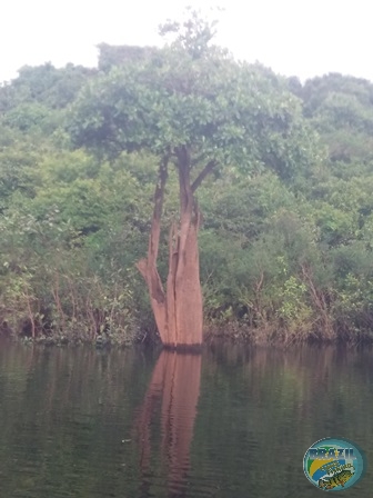 Fotos da pesca esportiva na regio Amaznica