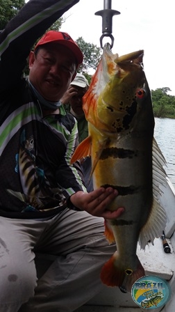 Fotos da pesca esportiva na regio Amaznica