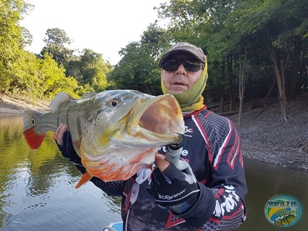 Fotos da pesca esportiva na regio Amaznica