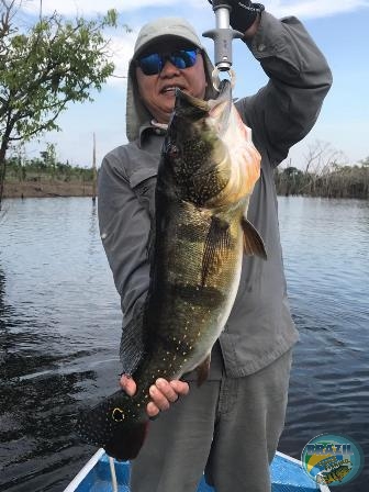 Fotos da pesca esportiva na regio Amaznica