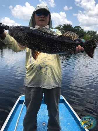 Fotos da pesca esportiva na regio Amaznica