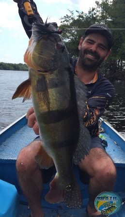 Fotos da pesca esportiva na regio Amaznica