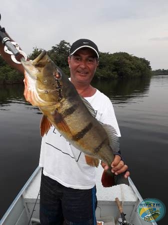 Fotos da pesca esportiva na regio Amaznica