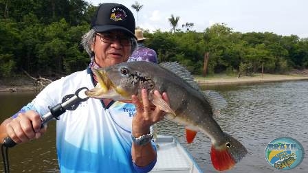 Fotos da pesca esportiva na regio Amaznica