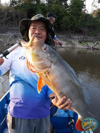 Fotos da pesca esportiva na regio Amaznica