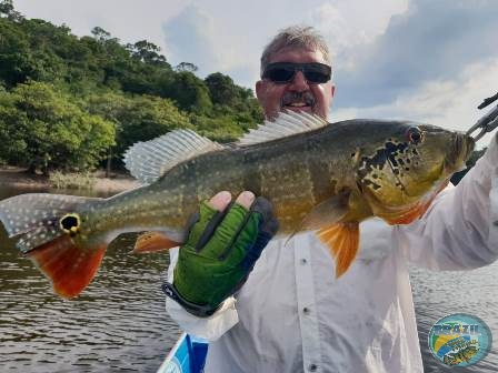 Fotos da pesca esportiva na regio Amaznica