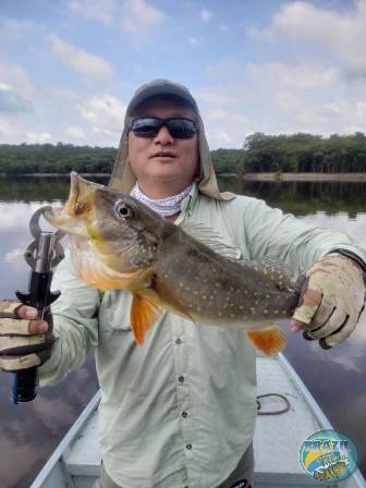 Fotos da pesca esportiva na regio Amaznica