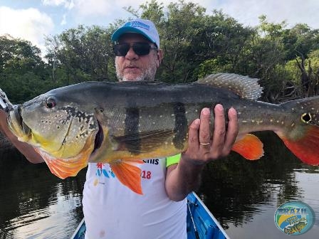 Fotos da pesca esportiva na regio Amaznica