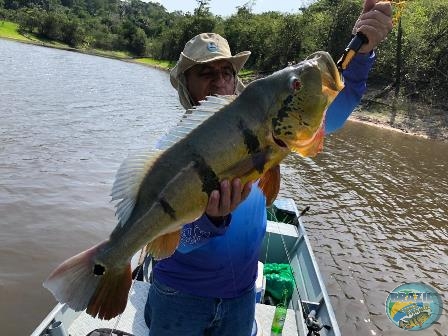 Fotos da pesca esportiva na regio Amaznica