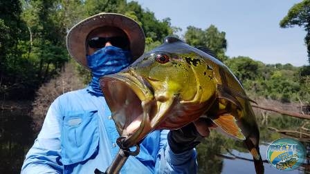 Fotos da pesca esportiva na regio Amaznica