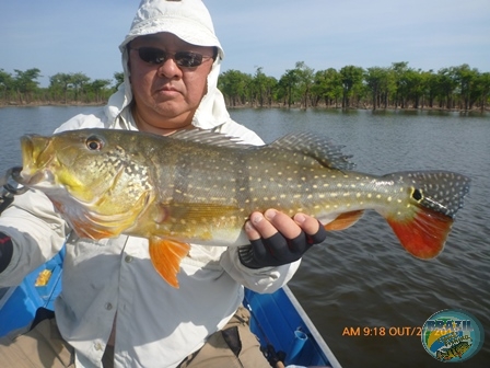 Fotos da pesca esportiva na regio Amaznica