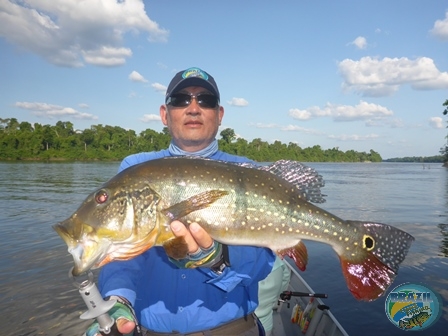 Fotos da pesca esportiva na regio Amaznica