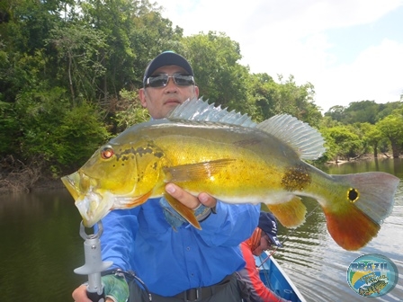 Fotos da pesca esportiva na regio Amaznica