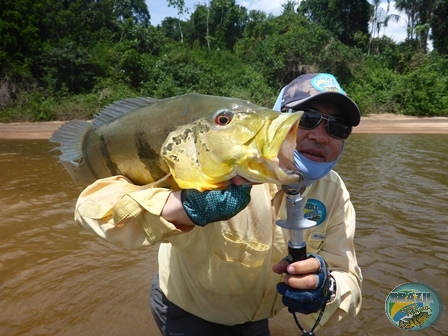 Fotos da pesca esportiva na regio Amaznica